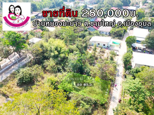 ขายที่ดินเปล่า 50ตารางวา-บ้านหนองมะนาว ต.ขามใหญ่.อ.เมือง จ.อุบล