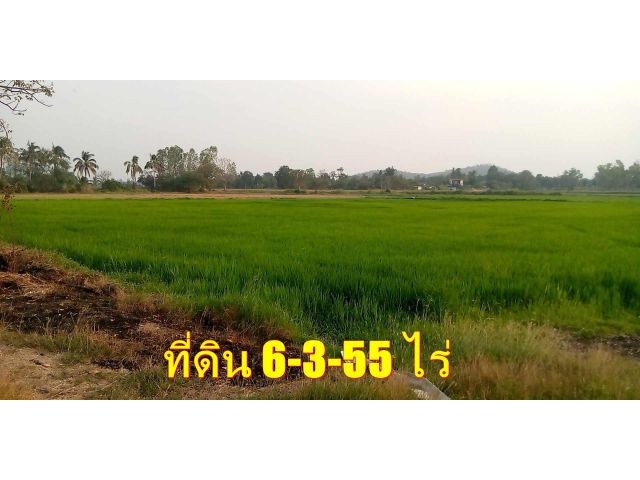 Vายที่ดิน6ไร่3งาน55วา ติดคลองราหู ใกล้วัดมาบแค หนองปลาหมอ บ้านโป่ง @ราชบุรี ทีดินห่างถนนเขาช่องพราน-บ้านโป่งเพียง500เมตร