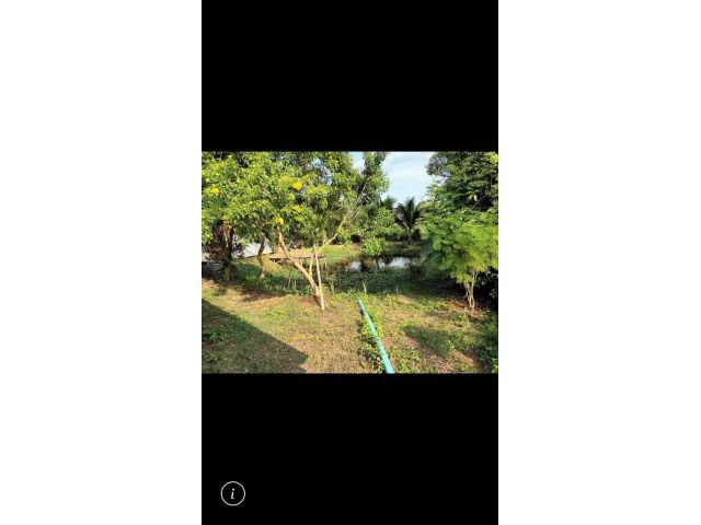L874 ขายที่ดิน เนื้อที่ 291 ตรว พนัสนิคม ชลบุรี