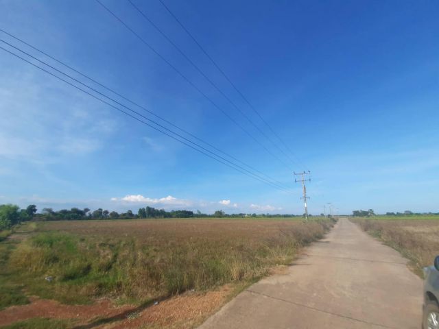 ขายที่ดินดงน้อย 31 ไร่ ติดถนนคอนกรีต ใกล้ถนนเส้น4023-1 กม. ราชสาสน์ ฉะเชิงเทรา