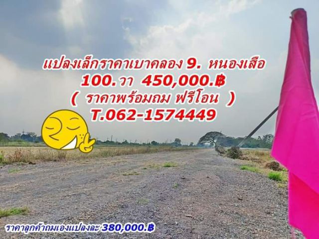 แปลงเล็กราคาเบาที่คลอง9.หนองเสือ.T.062-1574449