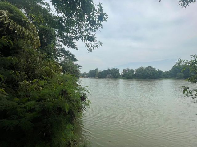 ขาย/ให้เช่า ที่ดินริมแม่น้ำ 910 ตร.วา ใกล้วัดหลุมดิน เมืองราชบุรี