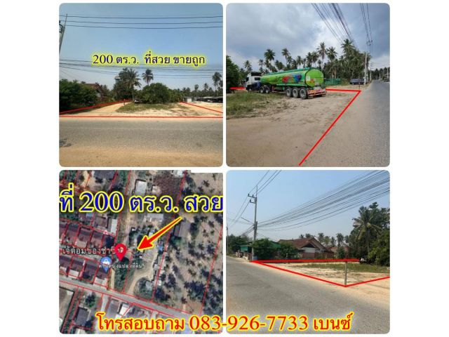 ▻▻▻ที่สวย 200 ตร.ว. อำเภอบางละมุง ชลบุรี ขายถูก เหมาะปลูกสร้างได้เลย√ √ √