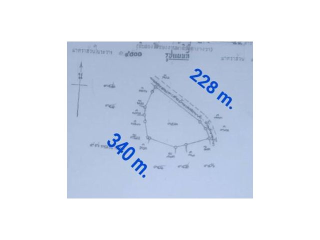 ขายที่ดิน 12 ไร่ ใกล้กับวัดหนองเจ้าปลาน้อย ต่อรองได้