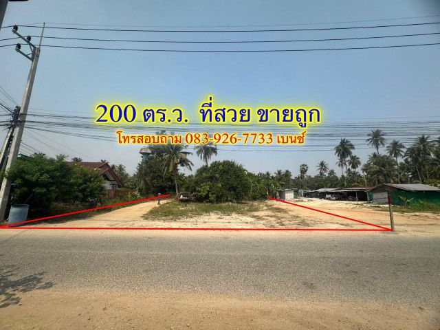 √ √ √โครตที่สวย 200 ตร.ว. อำเภอบางละมุง ชลบุรี ขายถูก เหมาะปลูกสร้างได้เลย√ √ √