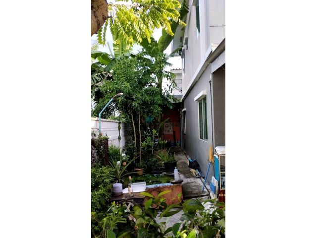 ขายทาวน์เฮ้าส์ นครปฐม สามพราน 27.3วา 2.79ล T0918605330