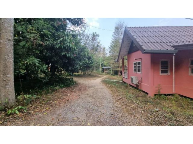 ขายที่ดินอำเภอเมืองเชียงใหม่ #ย่านช่างเคี่ยน 700ปี เนื้อที่ 1 ไร่ วาละ 45,000 ผังเมืองสีเหลือง