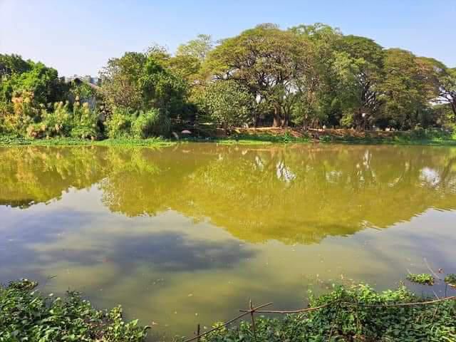 ขายที่ดินติดแม่น้ำปิงตำบลหนองหอยใกล้ไฟฟ้าบ้านเด่น