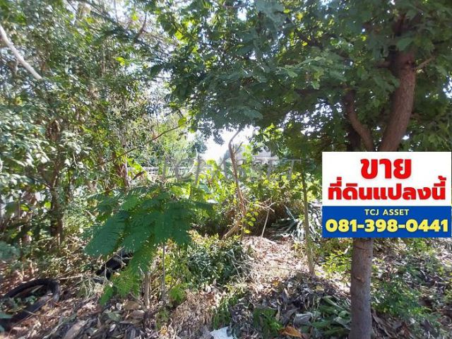 ขายที่ดิน 104 วา ซอยแบริ่ง 13  ใกล้บีทีเอสแบริ่ง 1.2 กม.เขตบางนา