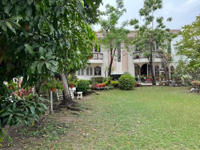 ขายที่ดินสุขุมวิท64 บางจาก พระโขนง ขนาด 223 ตร.ว ที่ดินพร้อมบ้านเก่า ทำเลดี ใกล้ BTS ปุณณวิถี ใกล้ทางด่วนสุขุมวิท 62 บาง