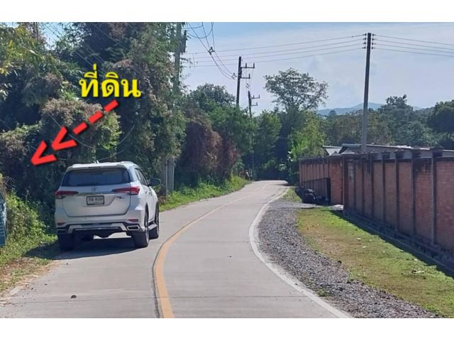 #*ขายที่ดิน8ไร่ อยู่บ้านทุ่งยาวซอย1 ต.ป่าป้อง ดอยสะเก็ด ใกล้ ม.เทคโนโลยีราชมงคลล้านนา.ติดถนนคอนกรีตไฟฟ้า-ประปาพร้อม ถูกๆ