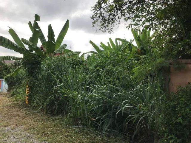 ขายที่ดินตำบลสุเทพติดถนนคอนกรีตโฉนดพร้อมโอน