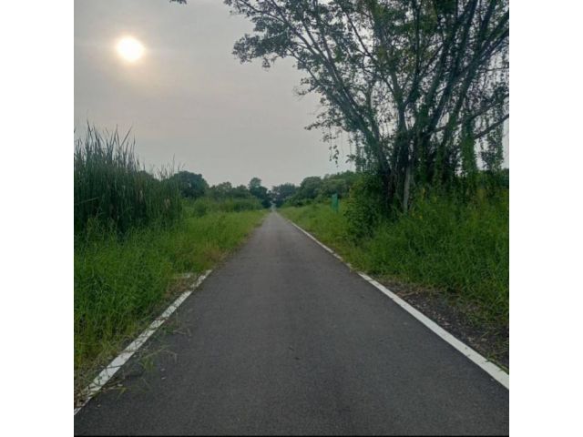 ที่ดืน ธัญบุรีคลอง 6