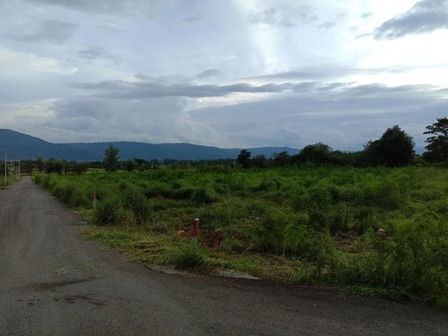 ขายที่ดินโฉนด วิวเขาใหญ่ 4 ไร่ ติดถนนลาดยาง มีไฟฟ้า มีบ่อน้ำบาดาล