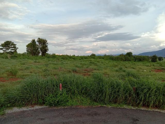 ขายที่ดินโฉนด วิวเขาใหญ่ 4 ไร่ ติดถนนลาดยาง มีไฟฟ้า มีบ่อน้ำบาดาล