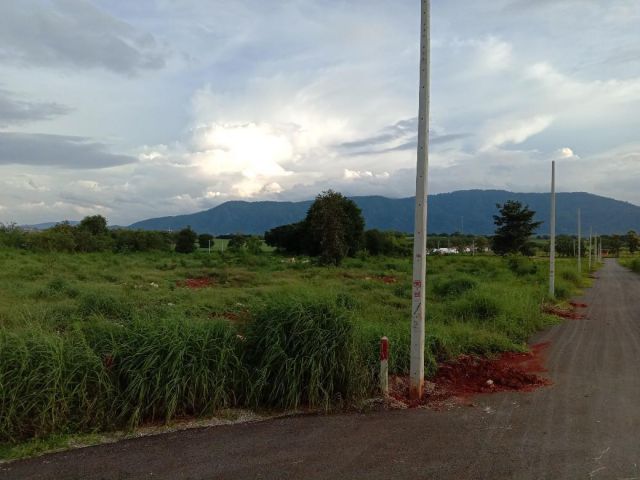 ขายที่ดินโฉนด วิวเขาใหญ่ 4 ไร่ ติดถนนลาดยาง มีไฟฟ้า มีบ่อน้ำบาดาล