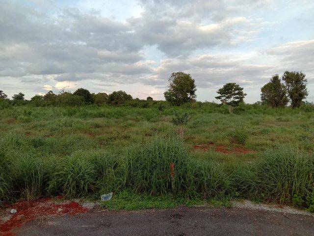 ขายที่ดินโฉนด วิวเขาใหญ่ 4 ไร่ ติดถนนลาดยาง มีไฟฟ้า มีบ่อน้ำบาดาล