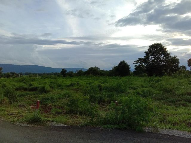 ขายที่ดินโฉนด วิวเขาใหญ่ 4 ไร่ ติดถนนลาดยาง มีไฟฟ้า มีบ่อน้ำบาดาล