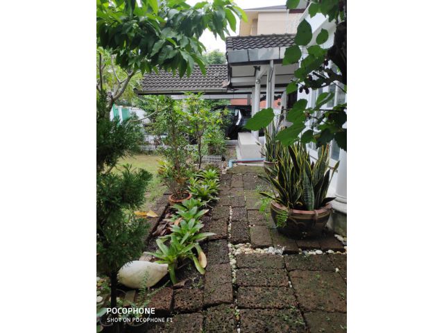 ขายบ้านเดี่ยว หนองแขม กรุงเทพมหานคร 100วา 4.5ล T0918605330