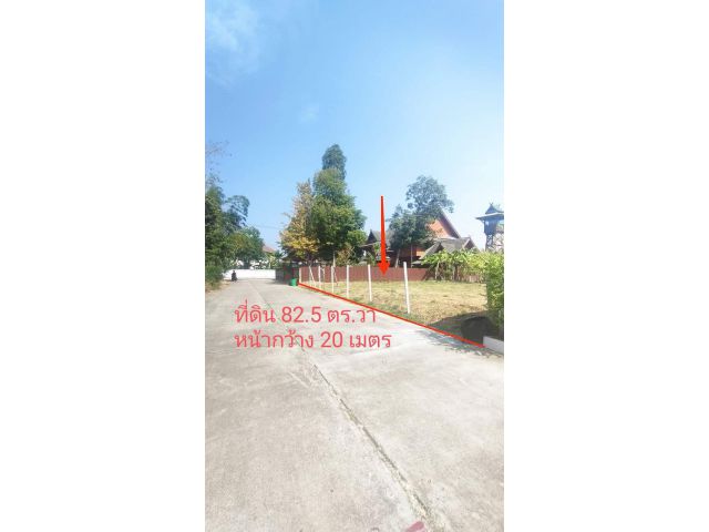 ขายที่ดินแยกลิขิตชีวันตลาดภูดอยหนองจ๊อมสันทรายพร้อมโอน