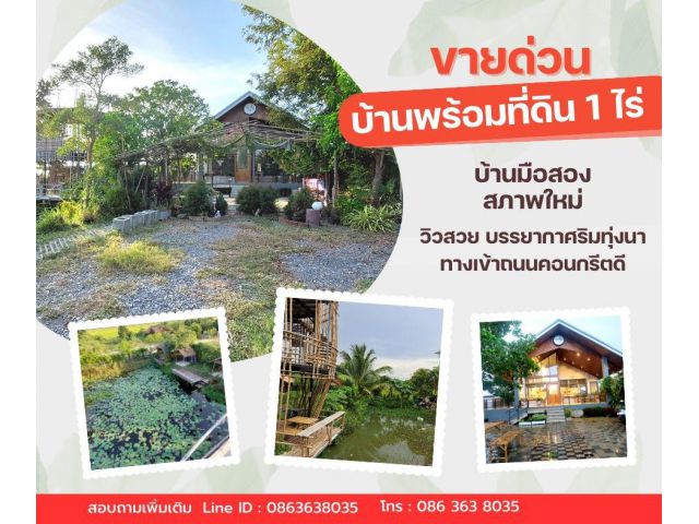 ขายบ้านพร้อมที่ดิน 1 ไร่