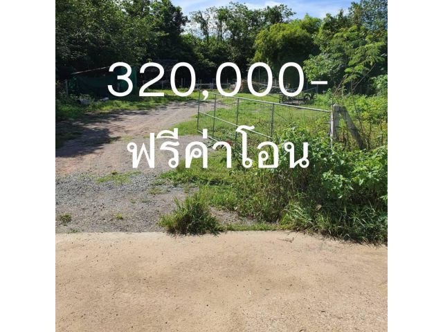 ขายที่ดิน 200 ตรว. ต.จอมบึง อ.จอมบึง จ.ราชบุรี ฟรีค่าโอน