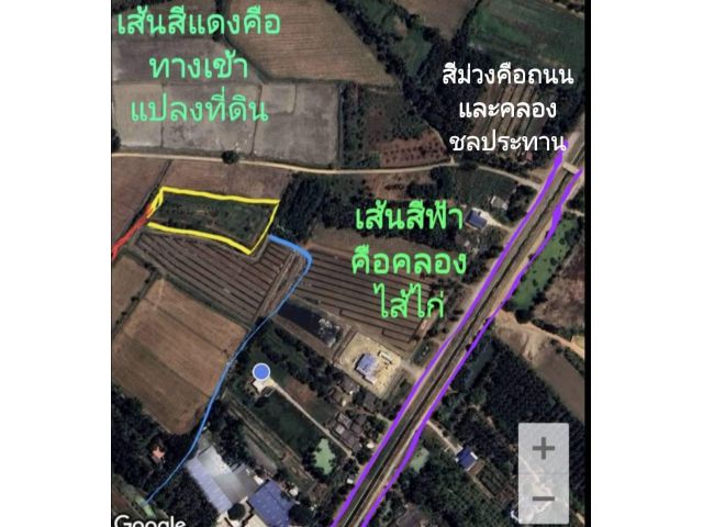 ขายที่ดิน 3 ไร่ 16 ตรว. ต.หนองกลางนา อ.เมือง จ.ราชบุรี