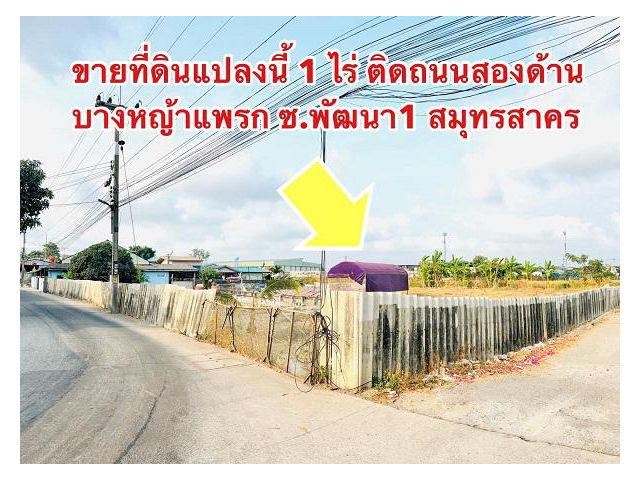 ขายที่ดินสมุทรสาคร บางหญ้าแพรก ขนาด 1 ไร่ถมแล้ว ติดถนนสาธารณะสองด้าน