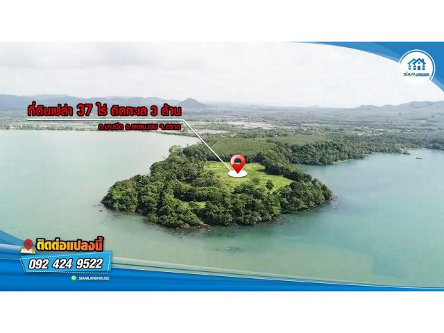 ที่ดินเปล่า 37 ไร่ ติดทะเล 3ด้าน แปลงสวยบนทำเลที่ดีที่สุด ต.บางปิด อ.แหลมงอบ จ.ตราด