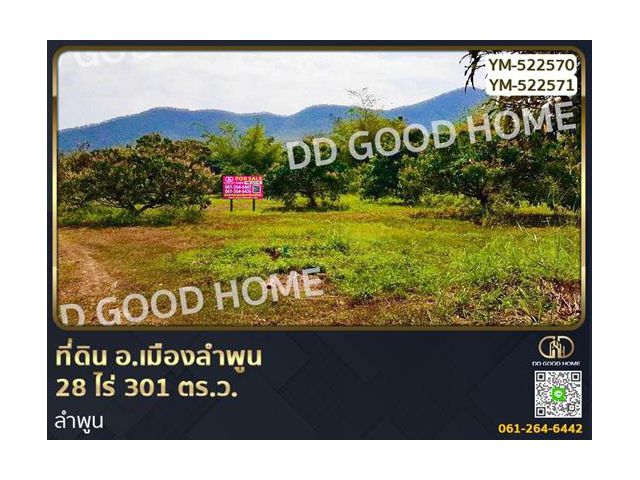 ที่ดิน อ.เมืองลำพูน 28 ไร่ 301 ตร.ว. ลำพูน