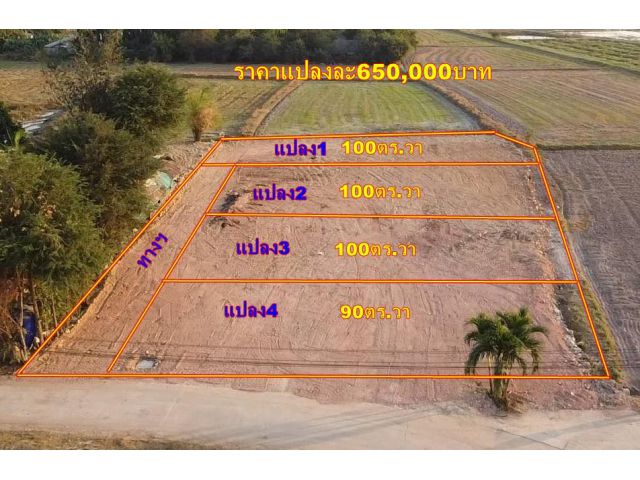 Vายที่ดิน1งาน-4งานถมแล้ว บ้านหนองสะเดาห้วยหมู ใกล้ตัวเมืองราชบุรี3กม. ใกล้สนามมิตรผล500เมตร ขนส่งใหม่ราชบุรี1.5กม. ถนนคอนกรีตไฟฟ้าประปาพร้อม