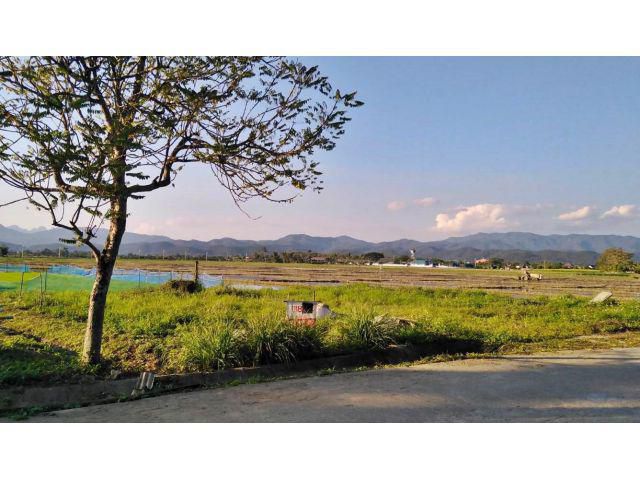 ขายที่นา วิวภูเขา ติดถนนในชุมชน อากาศดี เย็นสบาย ป่าไหน่ พร้าว เชียงใหม่