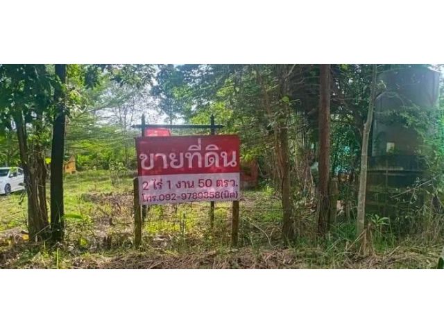 เสนอขายที่ดินใกล้ทะเลหาดเจ้าหลาว ทำเลดี เหมาะสำหรับทำธุรกิจรีสอร์ท & บ้านพักตากอากาศ เนื้อที่ 2 ไร่กว่าๆ  พิกัดหาดเจ้าหล