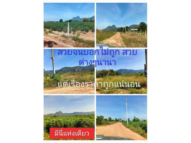 ถูกในปฐพีดีในปัจจุบัน มีไฟฟ้าผ่านราคานี้ เพียงริเริ่มแล้วจะรู้ แล้วจะรัก พื้นที่ทำกินถิ่นที่อยู่อาศัยให้ราคาถูก ธรรมชาติสวยบรรยากาศสดใสได้ใจไปเต็มๆ