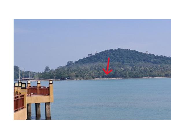 ขายที่ดินบนเกาะพิทักษ์ อ.หลังสวน จ.ชุมพร เนื้อที่ 5 ไร่ 3 งาน
