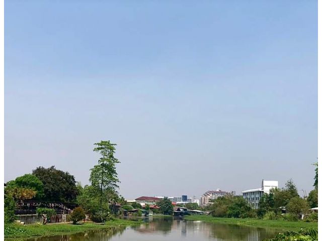 ขายที่ดินติดแม่น้ำปิงถนนสาธารณะโฉนดพร้อมโอน