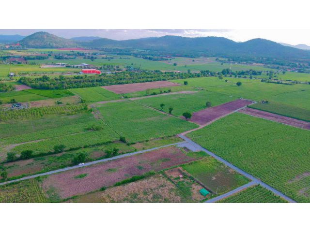 ขายที่ดินสวยวิวเขาบรรยากาศดี ทำเลดีมีไฟฟ้าประปาพร้อม ฉ.ครุฑแดง
