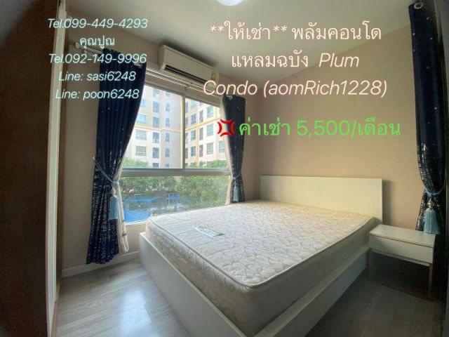#ให้เช่าพลัมคอนโด แหลมฉบัง  Plum Condo (aomRich1228) แยกแหลมฉบัง ใกล้ฮาเบอร์มอลล์ ใกล้แมคโคร
