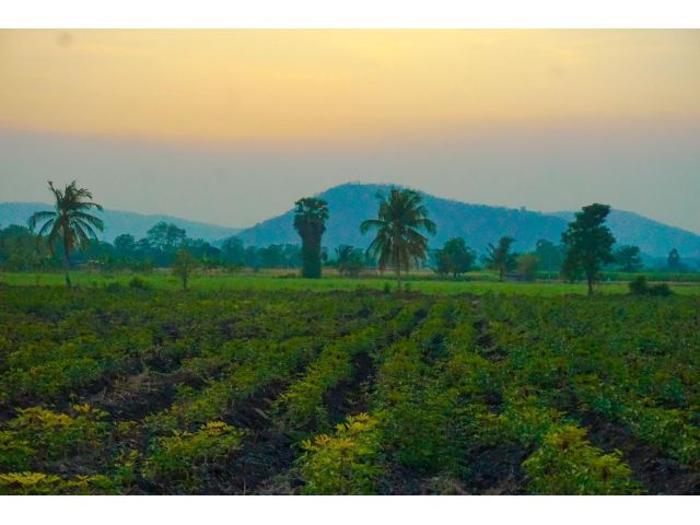 ที่ดินอู่ทองสุพรรณบุรี แบ่งขาย 200 ตรว.- 1 ไร่, 2 ไร่ ทำเลดีติดลาดยาง