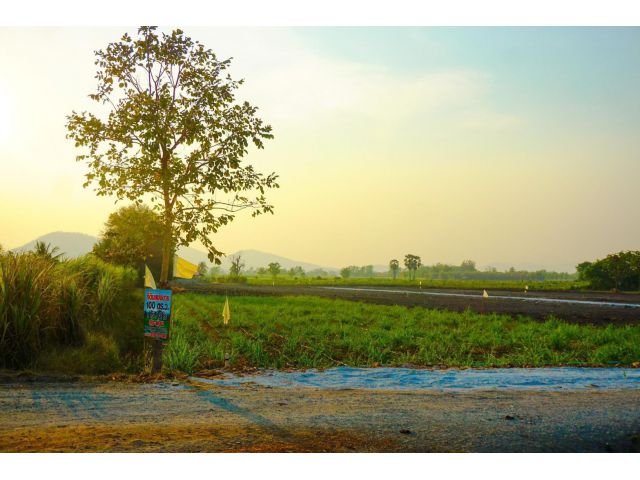 ที่ดินอู่ทองสุพรรณบุรี แบ่งขาย 200 ตรว.- 1 ไร่, 2 ไร่ ทำเลดีติดลาดยาง