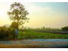 ที่ดินอู่ทองสุพรรณบุรี แบ่งขาย 200 ตรว.- 1 ไร่, 2 ไร่ ทำเลดีติดลาดยาง