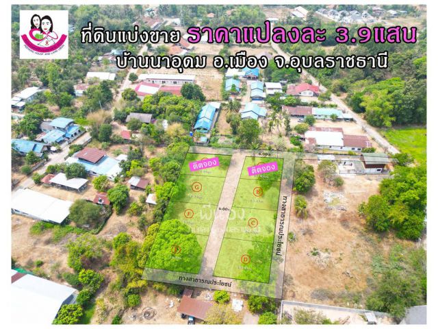 ที่ดินเปล่าแบ่งขาย โซนบ้านนาอุดม ต.ขามใหญ่ อ.เมือง จ.อุบลราชธานี