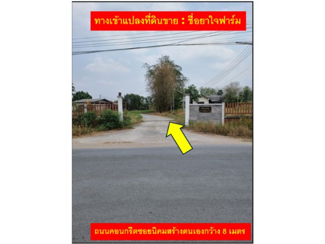 ขายที่ดินโฉนดใกล้เขาใหญ่  นส.3  ต.หนองสาหร่าย อ.ปากช่อง ขนาด 40 ไร่ 3 งาน 54 ตร.ว.  เหมาะสำหรับนักธุรกิจที่ดิน