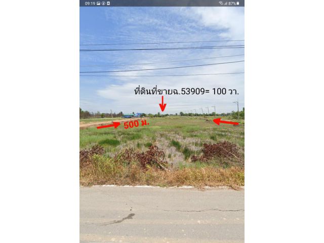 ขายที่ดินว่างเปล่าองครักษ์ คลอง24 พท.100 ตรว.