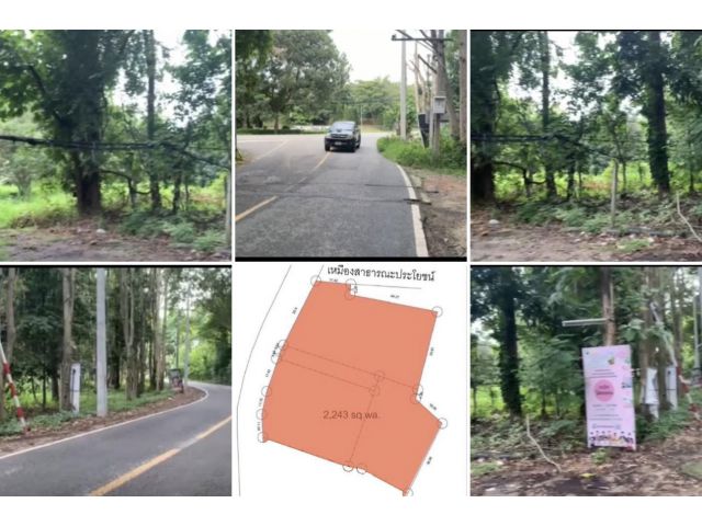 ขายที่ดิน 4-0-02 ไร่ ถนนพืชสวนโลกเยื้องประตูไนท์ซาฟารี เชียงใหม่
