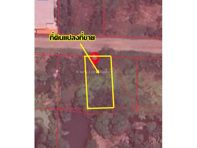 ขายที่ดินเปล่า 100 ตารางวา คลอง 11 หนองเสือ-ปทุมธานี