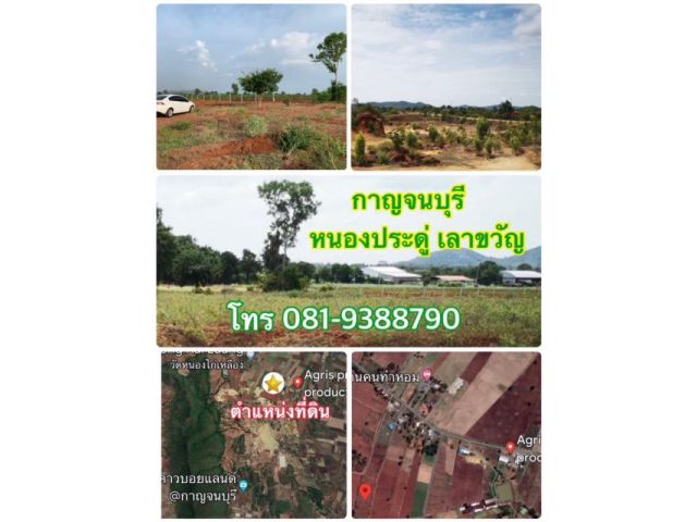 ด่วน! แปลงสุดท้าย กาญจนบุรี หนองประดู่ เลาขวัญ 8 ไร่ ชุมชน ไฟฟ้า ปะปา ห่างหอนาฬากาบรรหาร 15 นาที ราคา 5.2 ล้าน (ไร่ละ 650,000)