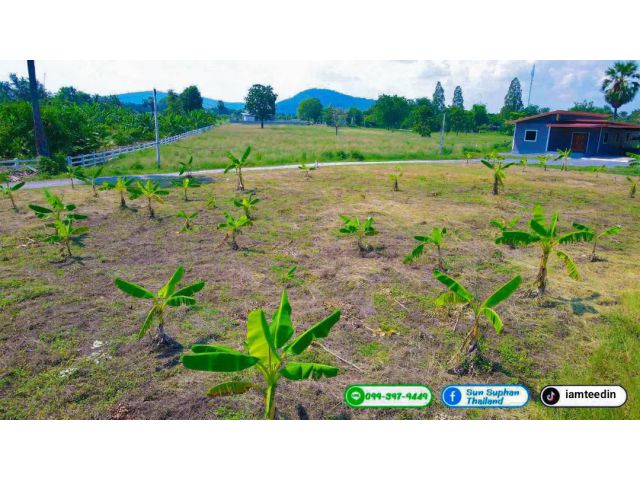 ที่ดินสดผ่อนได้่ วิวเขาสวย*น้ำไม่ท่วม ติดถนน 2 ด้าน มีไฟฟ้าประปาพร้อม โฉนดครุฑแดง