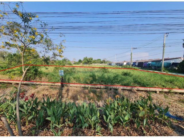 #ขายที่ดินแปลงสวย เนื้อที่ 460 ตร.ว. #ถนนประชาสำราญ แขวงคลองซอยที่ 12 ฝั่งตะวันออก #เขตหนองจอก #กรุงเทพฯ
