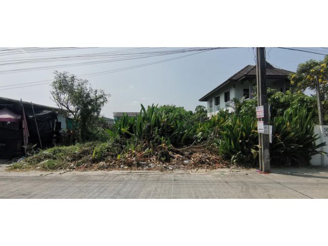 ขายที่ดิน 81.5 ตรว. ทวีวัฒนา ทำเลดี เดินทางสะดวก ใกล้ถนนหลายสาย